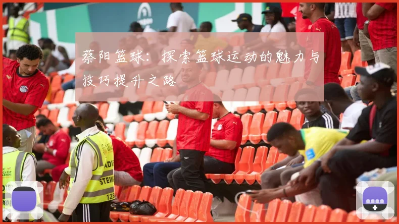 蔡阳篮球：探索篮球运动的魅力与技巧提升之路