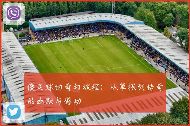 傻足球的奇幻旅程：从草根到传奇的幽默与感动