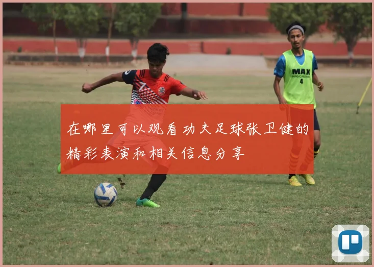 在哪里可以观看功夫足球张卫健的精彩表演和相关信息分享