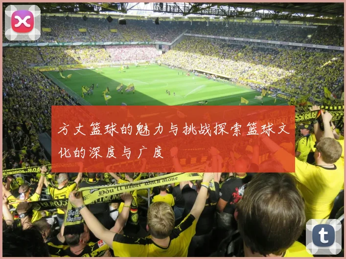 方丈篮球的魅力与挑战探索篮球文化的深度与广度